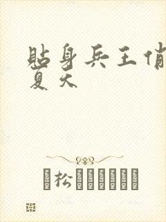 贴身兵王俏总裁夏天