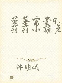 荣华富贵9小王莉莉小说免费阅读