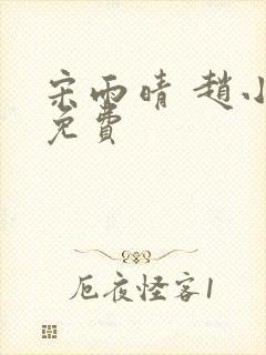 宋雨晴 赵小刚免费