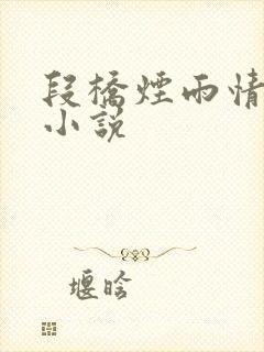 段桥烟雨情难离小说