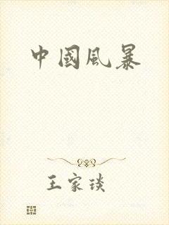 中国风暴