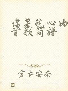 你是我心内的一首歌简谱