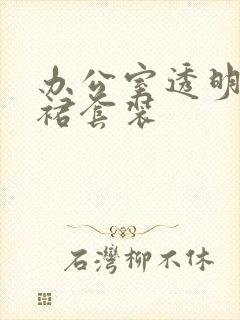 办公室透明半身裙套装