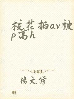 校花拍av被np高h