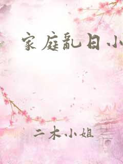 家庭乱日小说
