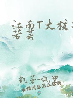 江南T大校花陈若芸