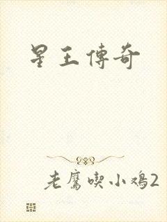 星王传奇