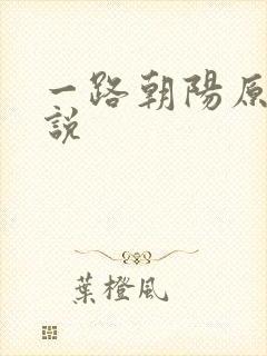 一路朝阳原著小说