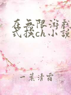 在无限游戏里花式挨ch小说