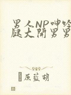 男人NP呻吟双腿大开男男小说