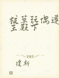 校草玩偶遵命公主殿下