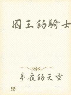 国王的骑士