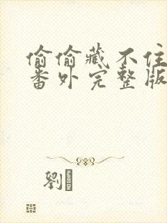 偷偷藏不住新婚番外完整版