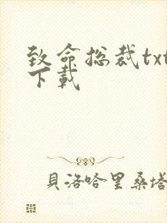 致命总裁txt下载