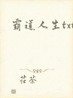 霸道人生txt