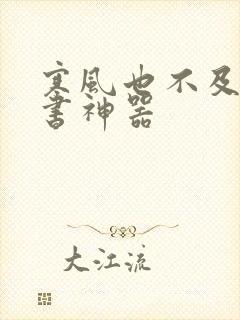 寒风也不及她追书神器