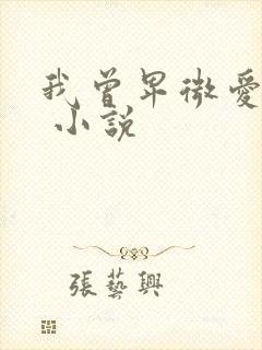 我曾卑微爱过你 小说