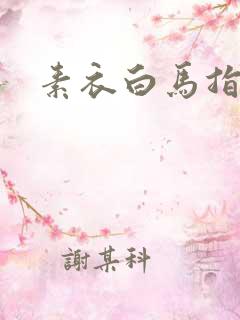 素衣白马指天下