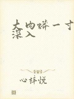 大肉蟒一寸寸地深入