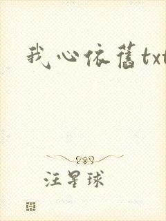 我心依旧txt