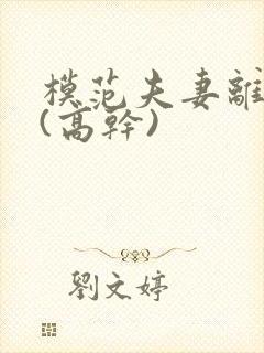 模范夫妻离婚了(高干)