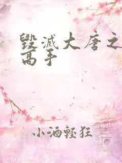 毁灭大唐之异能高手