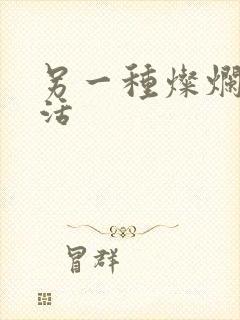 另一种灿烂的生活