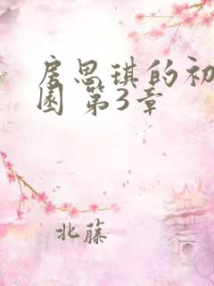 房思琪的初恋乐园 第3章