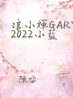 浪小辉GARY2022小蓝