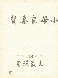 贤妻良母小说