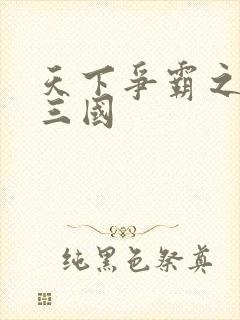 天下争霸之一统三国