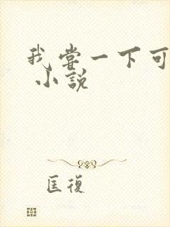 我尝一下可以吗 小说