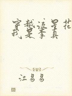 穿越流星花园之我是李真