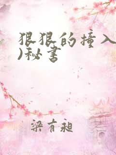 狠狠的撞入(h)秘书