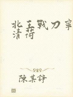 北王战刀宁北苏清荷