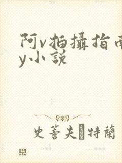 阿v拍摄指南by小说