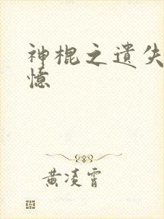 神棍之遗失的记忆