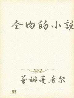 全肉的小说