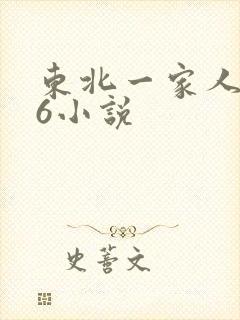 东北一家人1一6小说