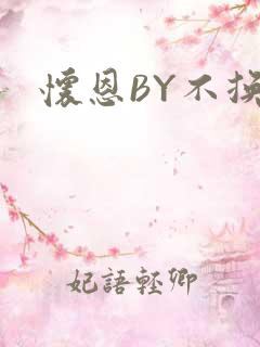 怀恩BY不换