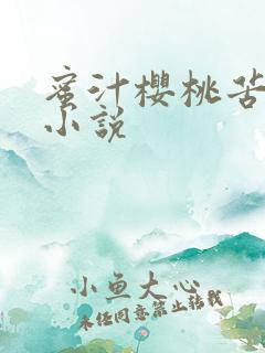 蜜汁樱桃苦咖啡小说