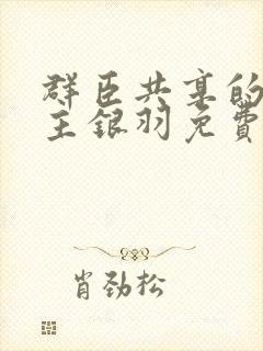 群臣共享的小公主银羽免费阅读