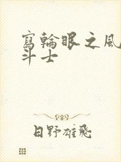 写轮眼之风流圣斗士