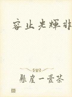 容止光辉非世人