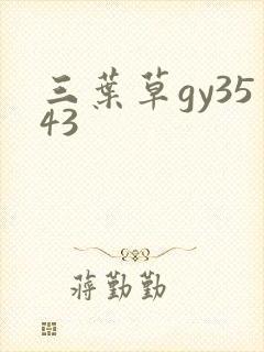 三叶草gy3543