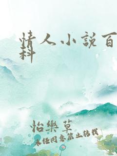 情人小说百度百科