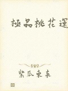 极品桃花运下载