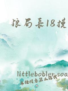 狼局长18摸