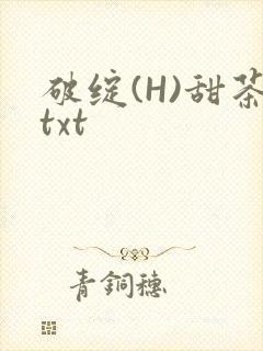 破绽(H)甜茶txt