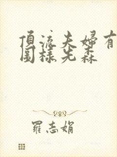 顶流夫妇有点甜图样先森